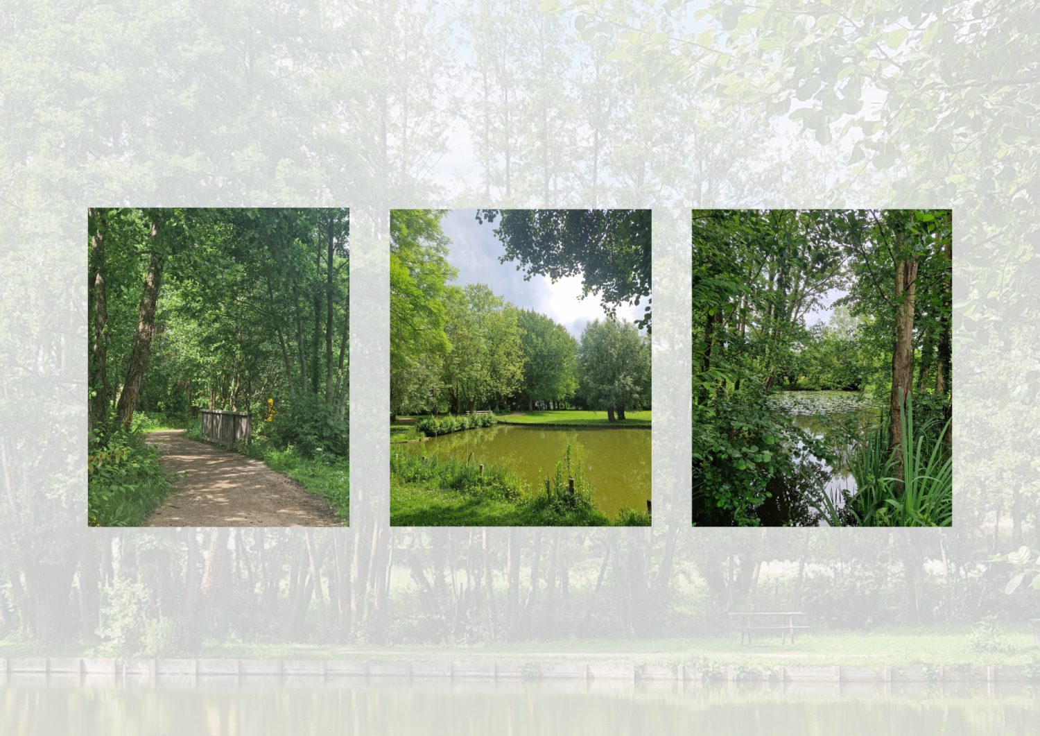 Parcours Pédagogique
