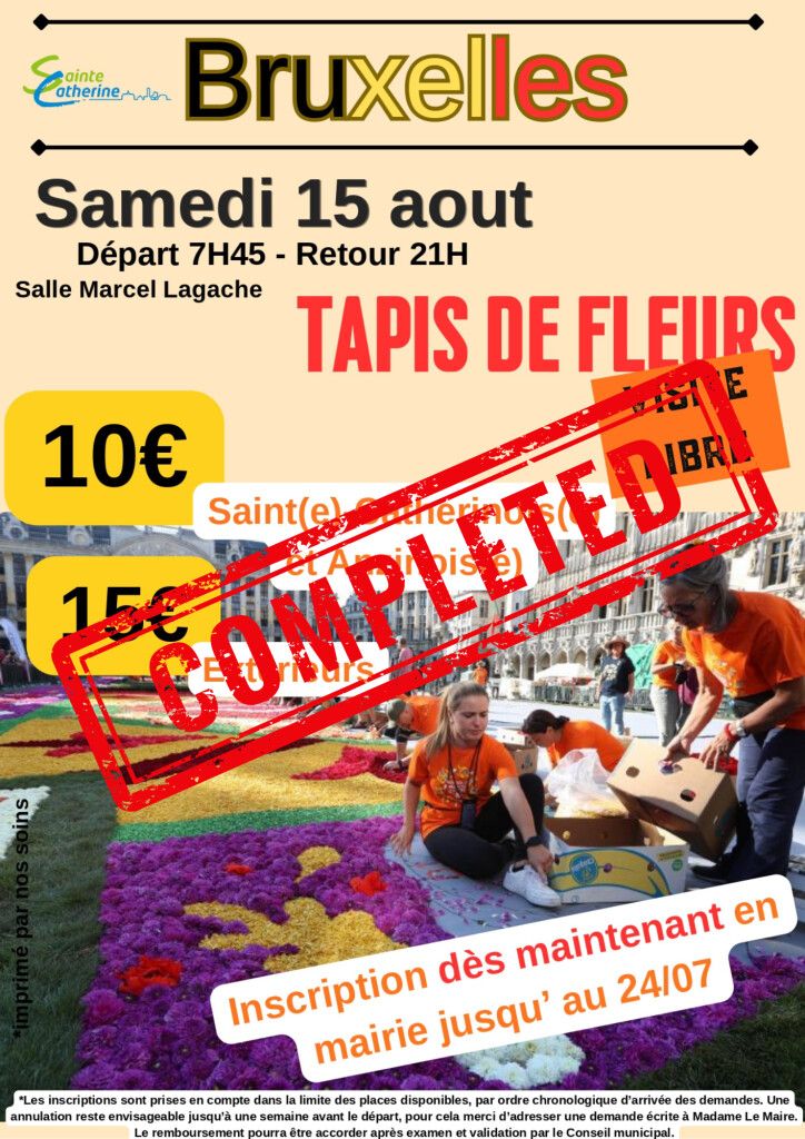 🌸 Sortie Bruxelles – Tapis de Fleurs 🌸