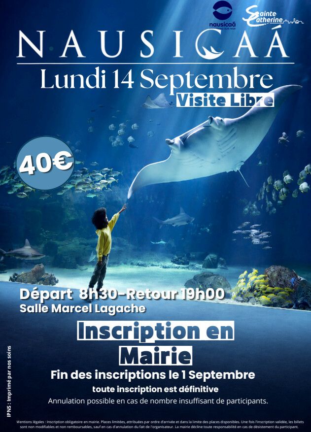 đ Envie d'Ă©vasion ? Embarquez pour NausicaĂĄ ! đ